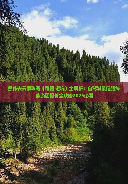 焦作去云南攻略