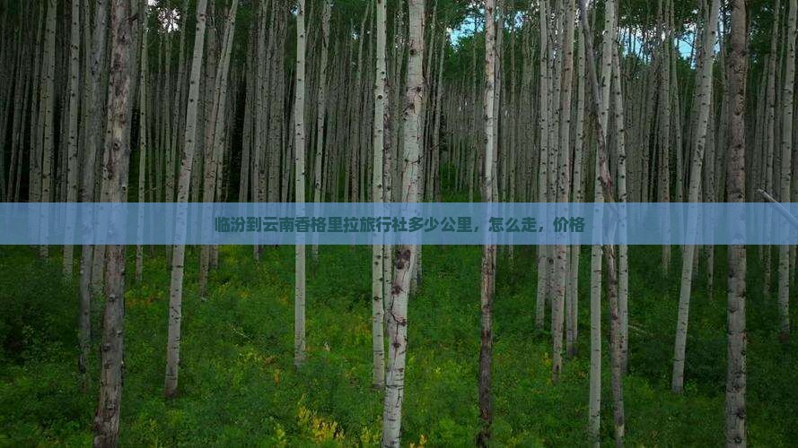 临汾到云南香格里拉旅行社