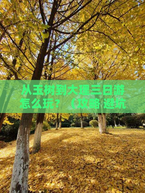 玉树到云南大理三日游