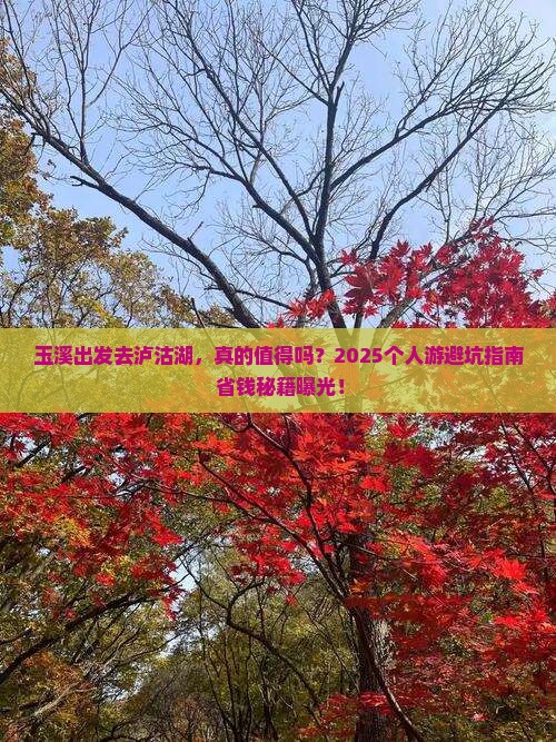 玉溪去云南泸沽湖个人游