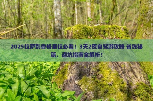 拉萨到云南香格里拉景点