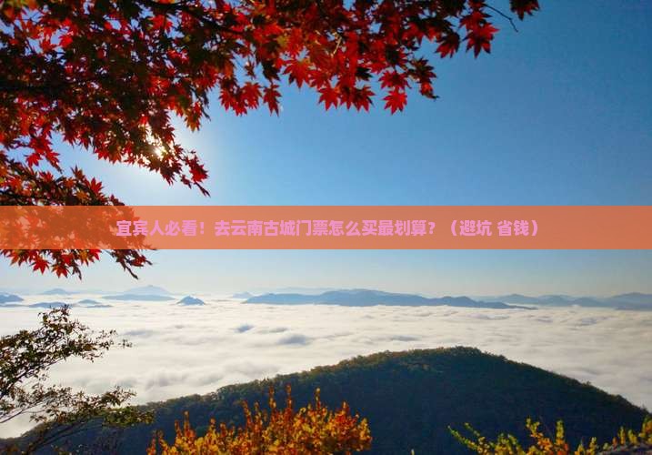 宜宾去云南古城门票