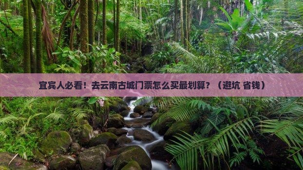 宜宾去云南古城门票