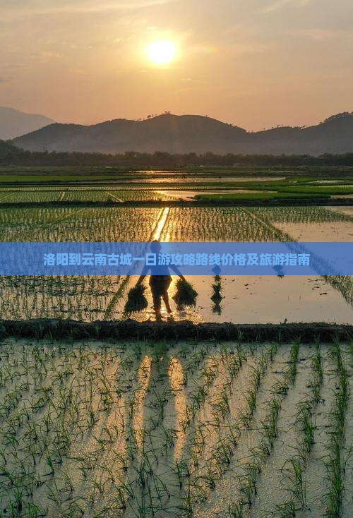 洛阳到云南古城一日