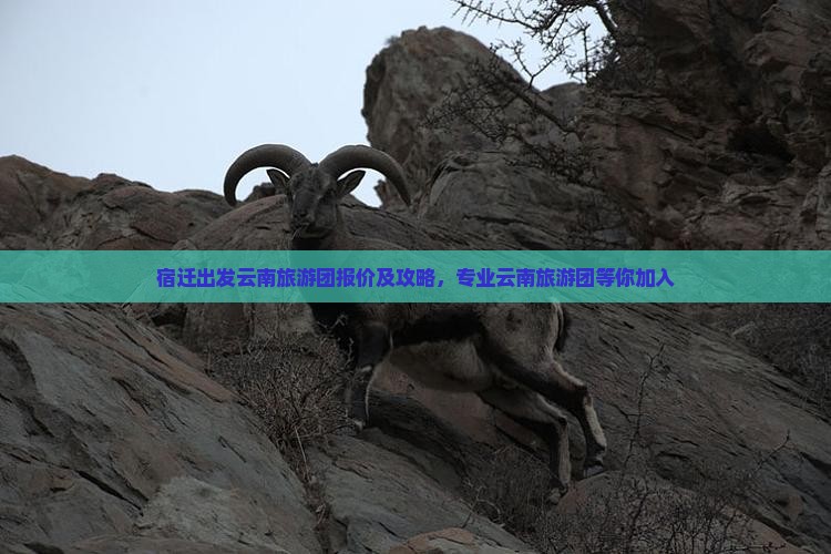 宿迁到云南昆明大型旅游团
