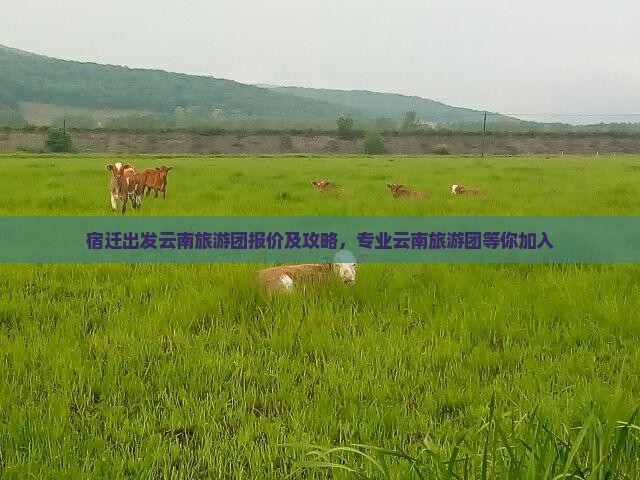 宿迁到云南昆明大型旅游团