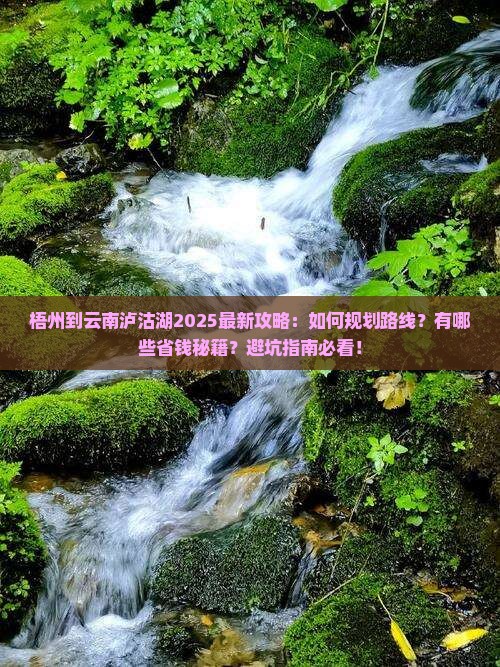 梧州到云南泸沽湖攻略