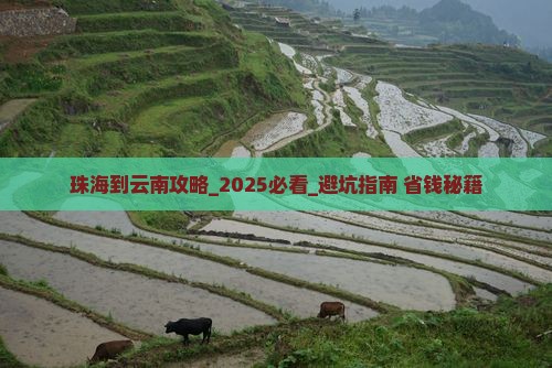 珠海到云南攻略