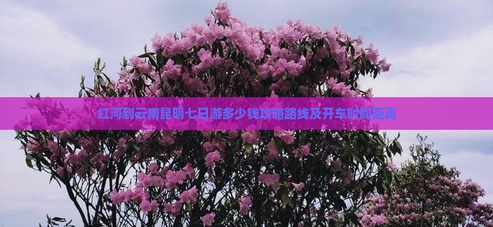 红河到云南昆明七日游
