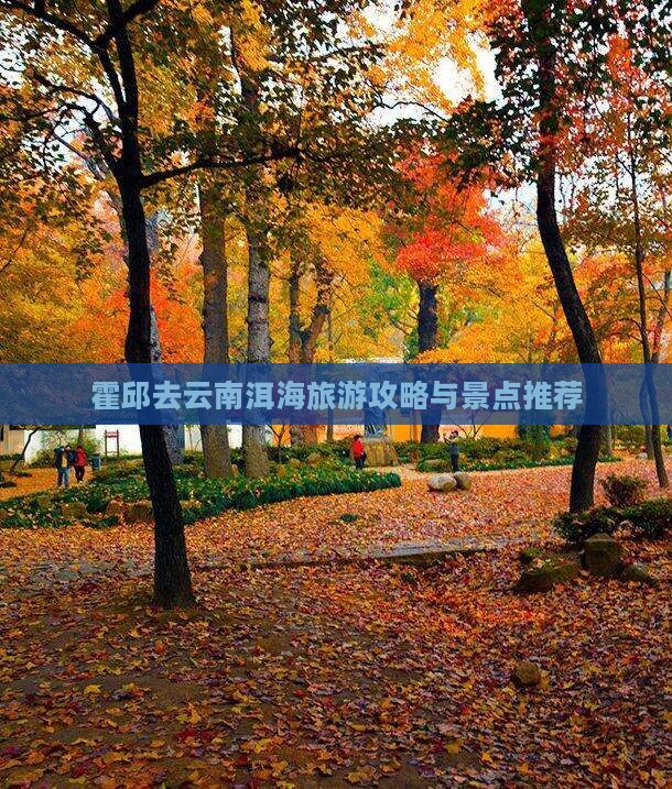 霍邱去云南洱海门票 霍邱去云南洱海门票
