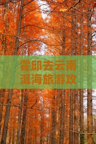 霍邱去云南洱海门票 霍邱去云南洱海门票