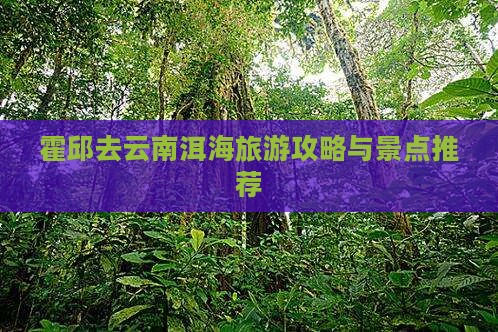 霍邱去云南洱海门票 霍邱去云南洱海门票