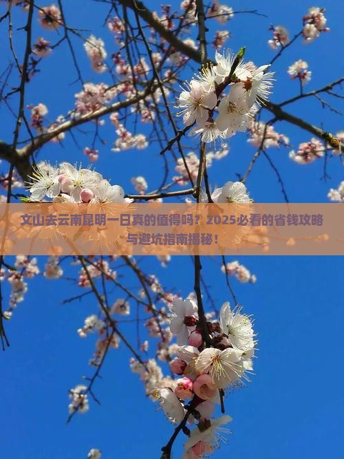 文山去云南昆明一日