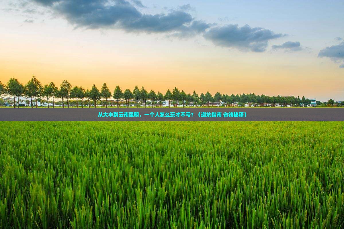 大丰到云南昆明个人游