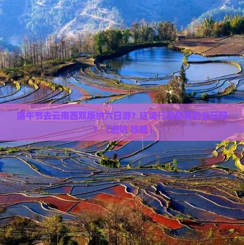 端午节去云南西双版纳六日游