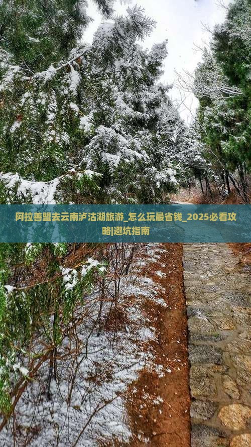 阿拉善盟去云南泸沽湖旅游