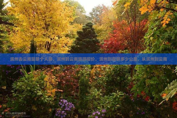 滨州去云南昆明个人游