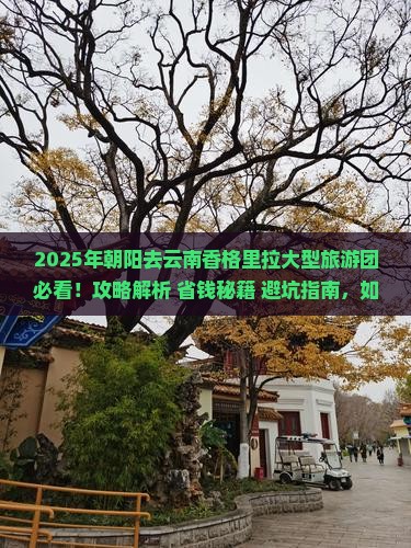 朝阳去云南香格里拉大型旅游团