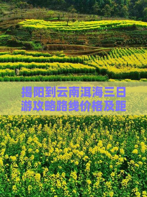 揭阳到云南洱海三日游