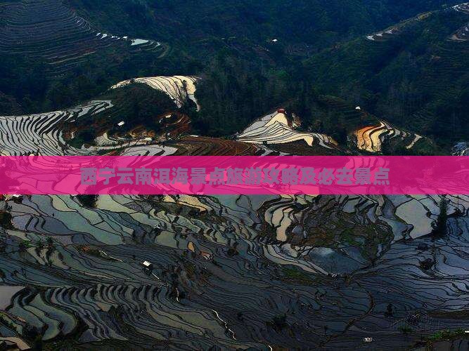 西宁去云南洱海景点