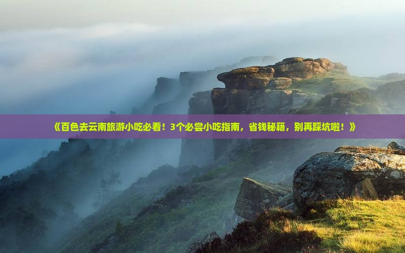 百色去云南旅游小吃