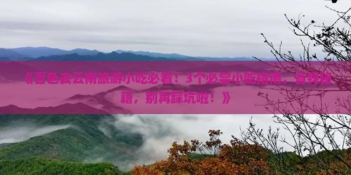 百色去云南旅游小吃