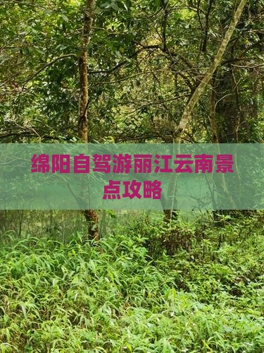 绵阳到云南丽江景点