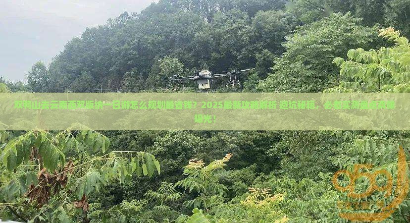 双鸭山去云南西双版纳一日