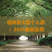桂林到云南大理个人游