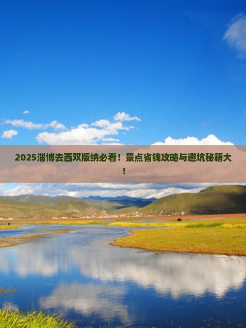 淄博去云南西双版纳景点