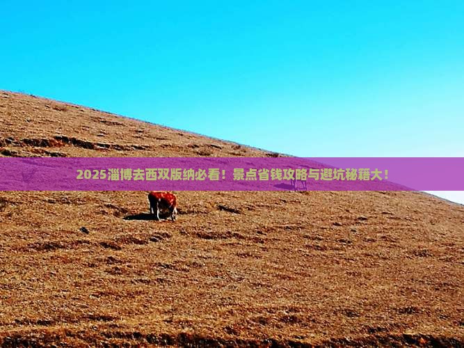 淄博去云南西双版纳景点