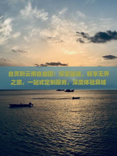 自贡到云南自由团