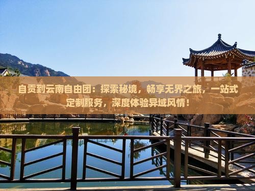 自贡到云南自由团