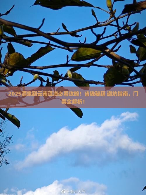 酒泉到云南洱海门票
