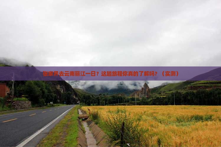 张家界去云南丽江一日