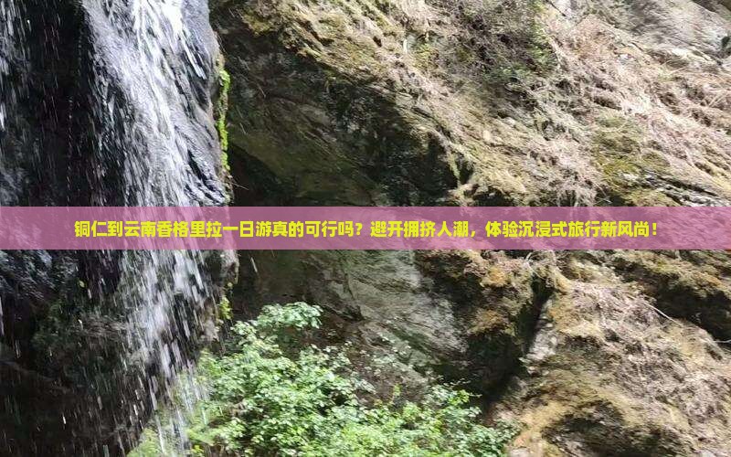铜仁到云南香格里拉一日