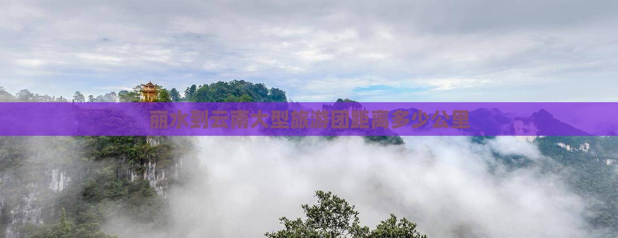 丽水到云南大型旅游团