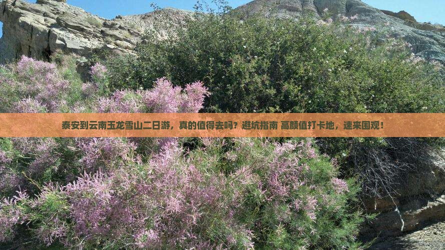 泰安到云南玉龙雪山二日游