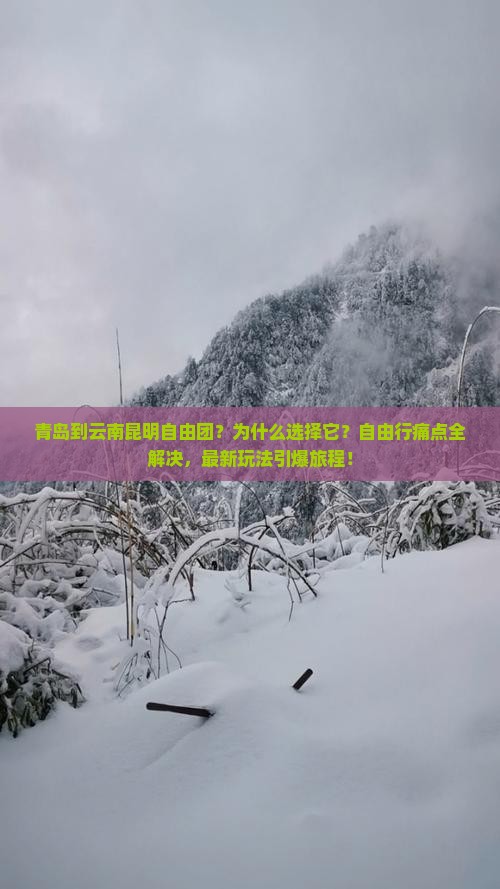 青岛到云南昆明自由团