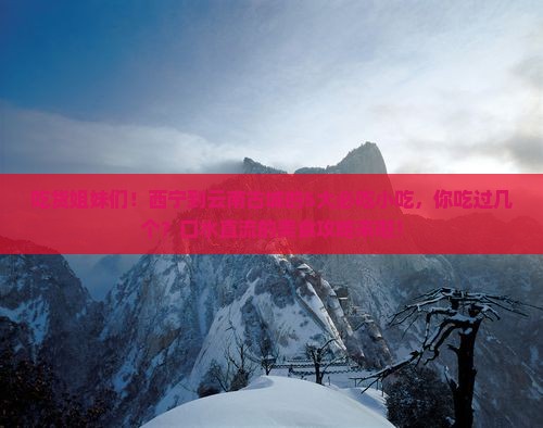 西宁到云南古城旅游小吃