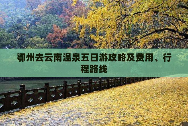 鄂州去云南温泉五日游