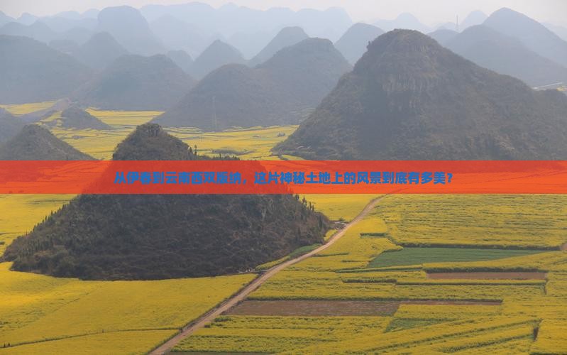 伊春去云南西双版纳景点