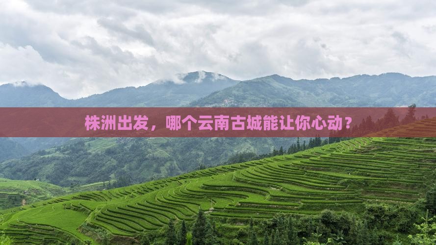 株洲到云南古城哪里玩