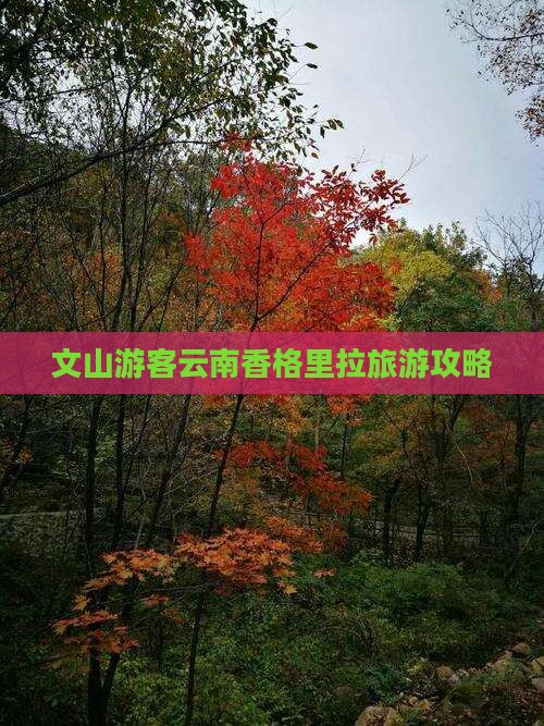 文山去云南香格里拉自由行
