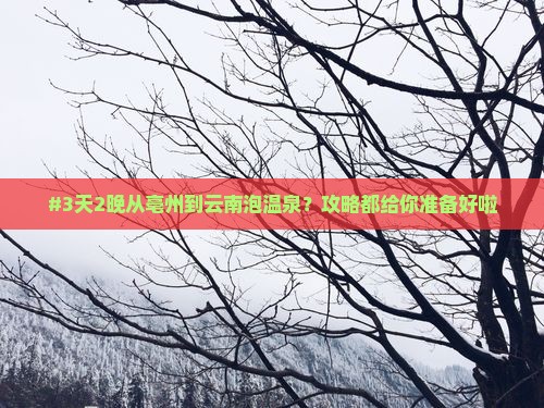 亳州去云南温泉旅游
