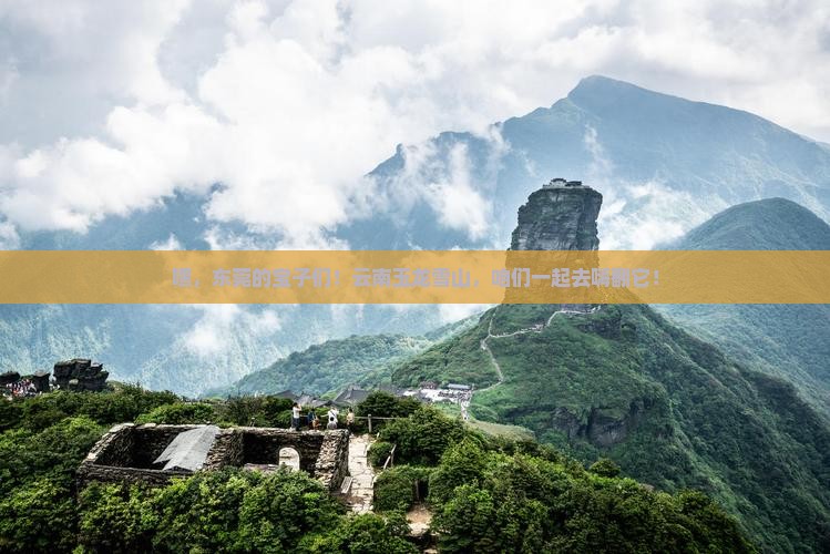东莞到云南玉龙雪山团体旅游