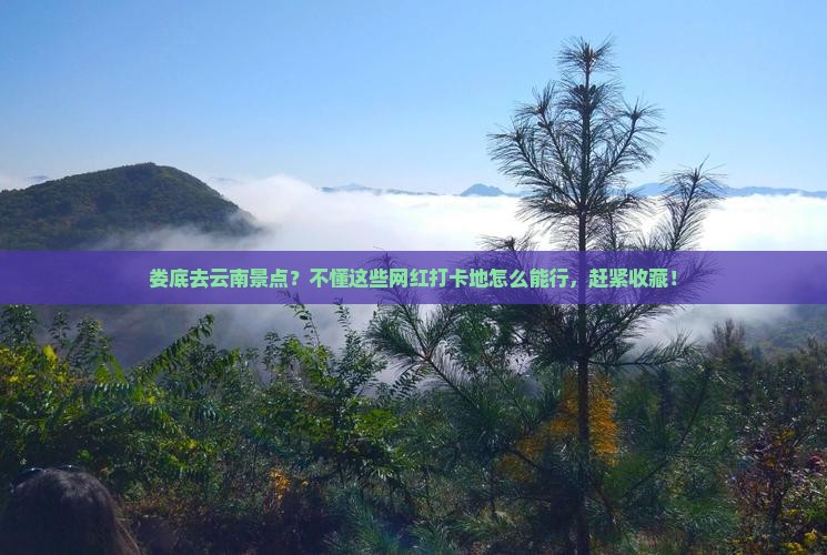 娄底去云南景点
