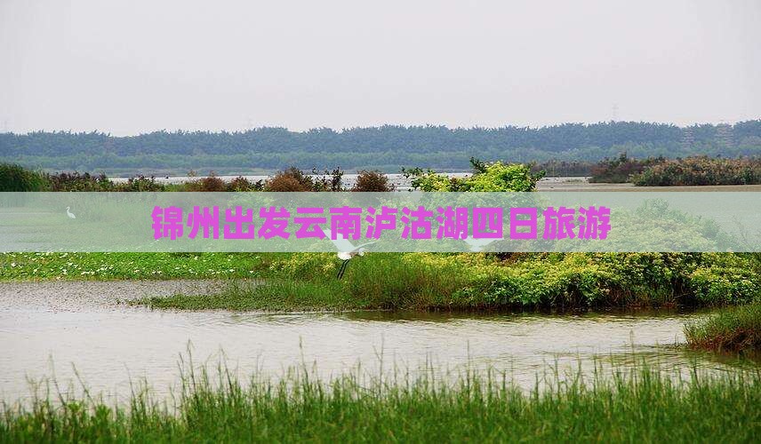 锦州去云南泸沽湖四日游 锦州去云南泸沽湖四日游
