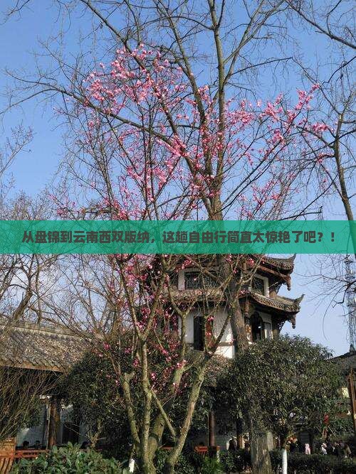 盘锦去云南西双版纳自由行