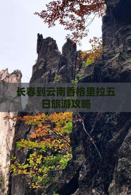 长春到云南香格里拉五日游